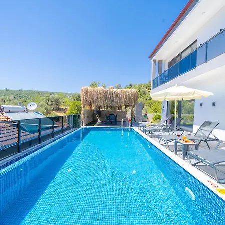 Sakli Cenetler Villa Caykoy